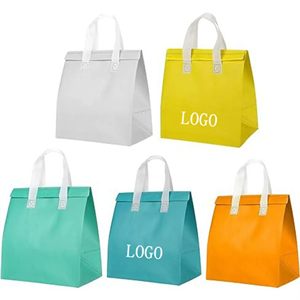 Instock Non-woven Aluminum Foil Insulated Take Away Bags