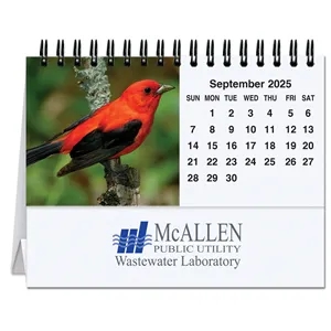 Tent Desk Calendar - Bird Watching