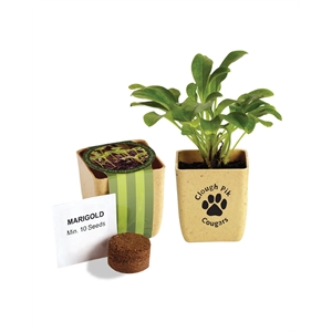 Flower Pot Set With Marigold Seeds
