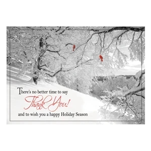 Glorious Thanks Holiday Cards