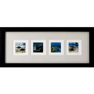 Framed Miniatures™
