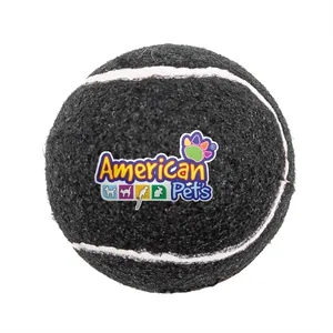 Pet Fetch Toy Tennis Ball