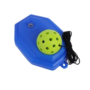 Pickleball Rebound Trainer with 40 Hole Ball