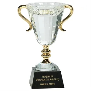 10" Crystal Cup with Gold Handles and Stem Award