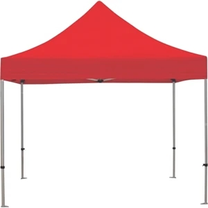 10' Zoom Outdoor Tent with Stock Canopy