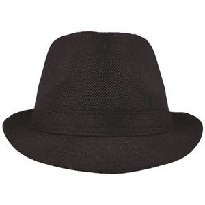 Fedora Hat