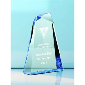 The Pioneer Award