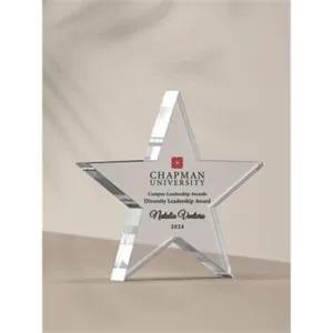 The Shooting Stars Award