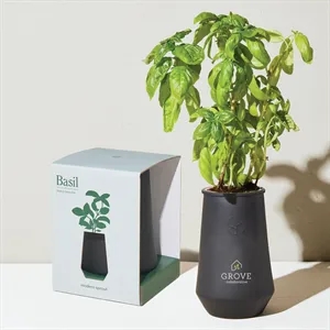Black-Basil