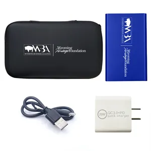 Custom Logo 4000mAh Power Bank + 20w Wall Charger Adapter Set