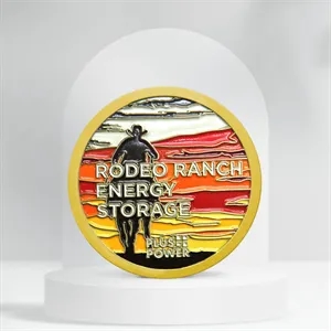 Imported Die Struck & Soft Enamel Coin
