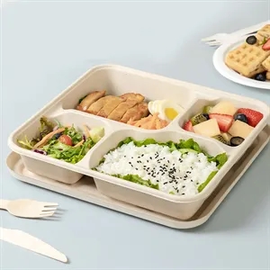 Take Out Food Containers Eco-Friendly Made of Paper Fibers