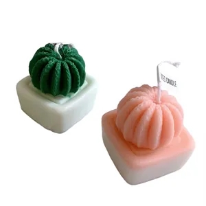 Cactus Scented Candles