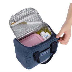 Insulated Cation Picnic Food Box Women Tote Storage Ice Bags