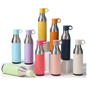 17oz Stainless Steel Insulated Water Bottle
