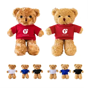 T Shirt Teddy Bear