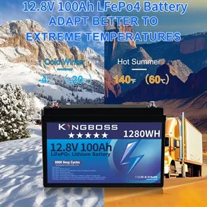 Lithium LiFePO4 Battery