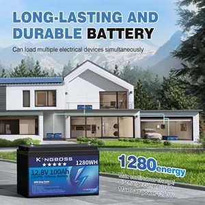 12.8V 100Ah LiFePO4 Battery