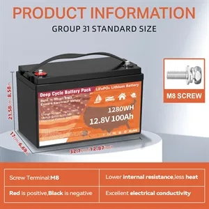 Fast Charging 1280WH Lithium LiFePO4 Batteries