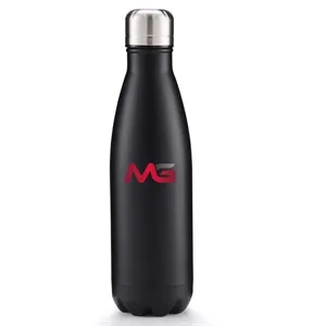 Insulated Stainless Steel Water Bottle