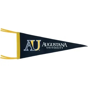 Custom Medium Wall Pennant - 1 Color Print