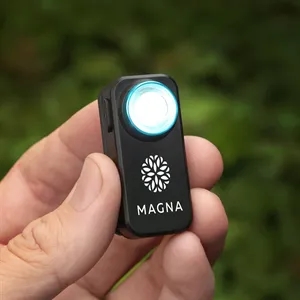 Lumaray Clip-On Flashlight