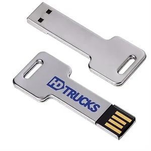 2 GB Silver Key USB 2.0 Flash Drive