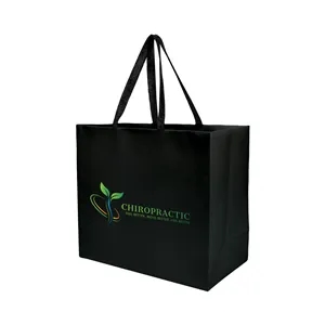 Sugarcane Paper Sustainable Bag - Color Evolution