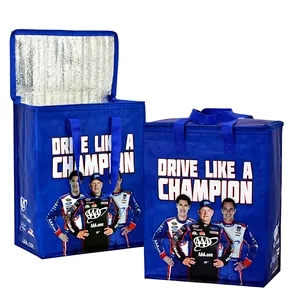 Custom Logo Custom 145g Laminated Woven Insulated Cooler Bag 12"x15"x7"