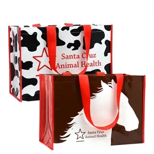 Custom Logo Custom 185g Laminated Woven PP Tote Bag 18"x13"x9"