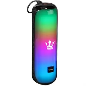 Outdoor Wireless Speaker with Dynamic LED Lights