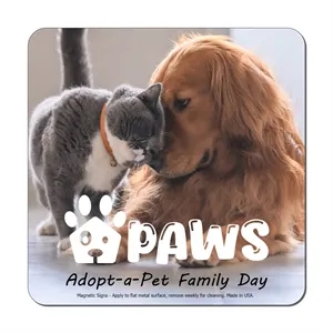 Square 5" x 5" Magnetic Sign - Full-Color