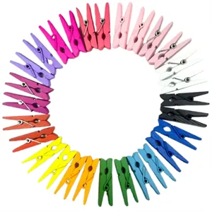 Mini Wooden Baby Tiny Clothespin Photo Holders Note Clips