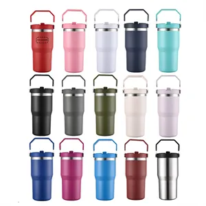 Custom Logo 20oz Tumbler with Handle and Straw Lid