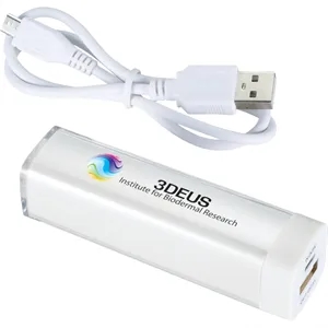 Flash 2,200 mAh Power Bank