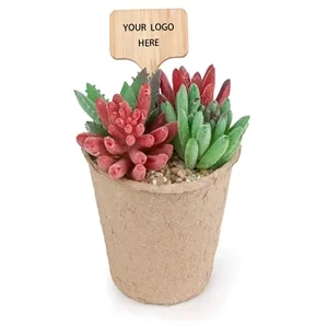 Thank you tags wooden wedding favor personalised gift