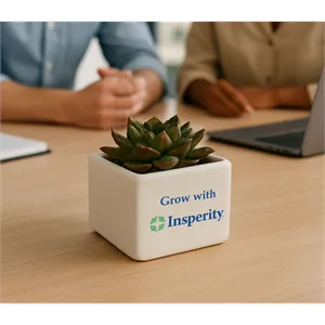 Premium Appreciation Gift Kit - Live succulent