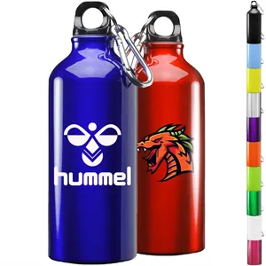 Custom Logo 20 oz. Aluminum Sports Bottle w/ Carabiner