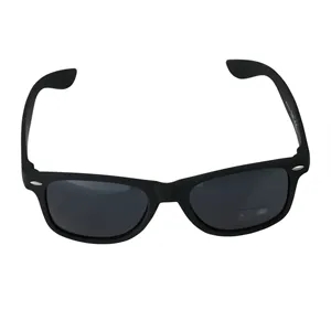 Custom Logo Matte Plastic Promotional Sunglasses