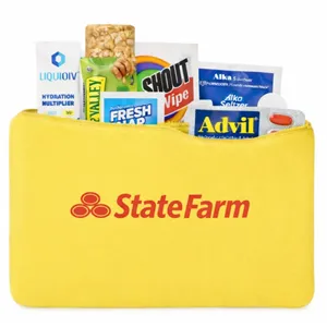 Hangover & Wellness Recovery Kit