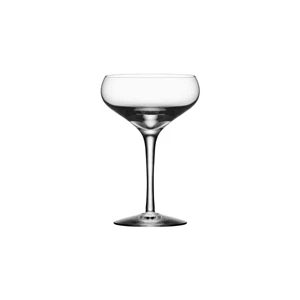 More Champagne Coupe Set of 4