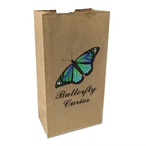 Popcorn Specialty Bag - ColorVista