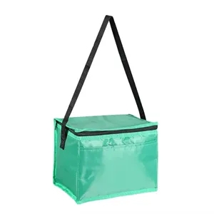 Custom Logo Polyester Zippered Cooler Bag