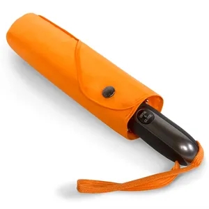 Mesa Orange