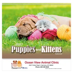 Puppies & Kittens Wall Calendar: 2027 Spiral Bound