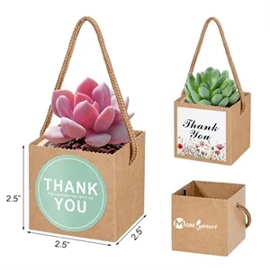Mini Succulent Favor Bags Kraft Paper Gift Boxes for Wedding