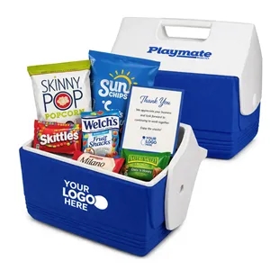 IGLOO Mini Cooler with Snacks