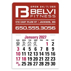 Triumph® Calendars Press-N-Stick Standard Calendar