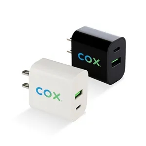 Dual Port Flat Wall Adapter