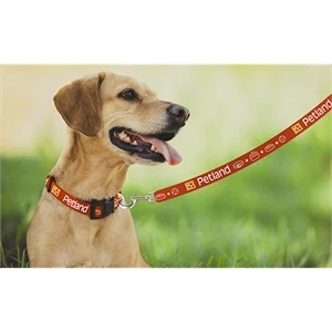 Pantone Matched Leash